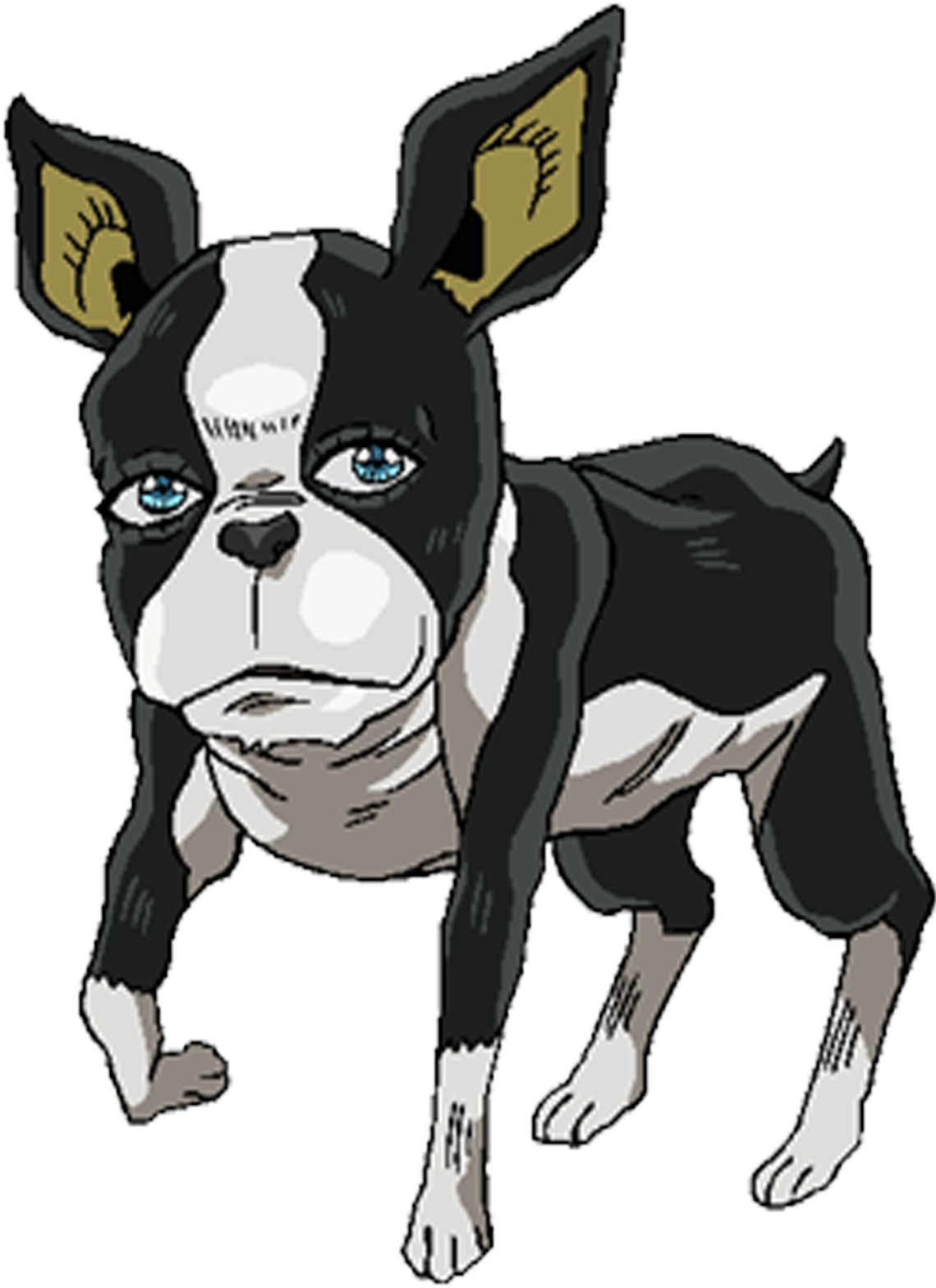 Bouncing Dog